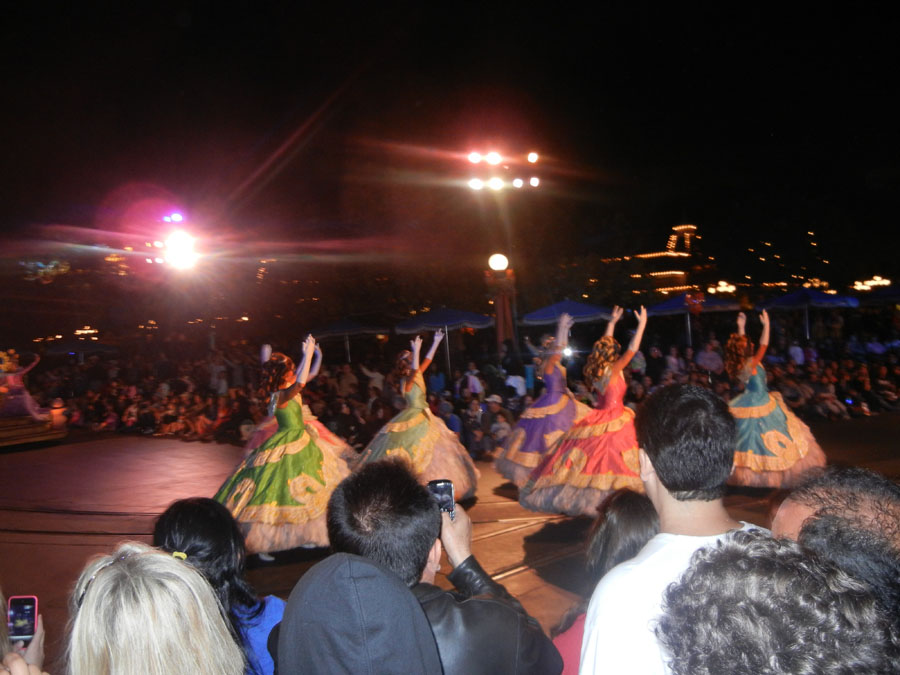 Disneyland Parade at Night Picture